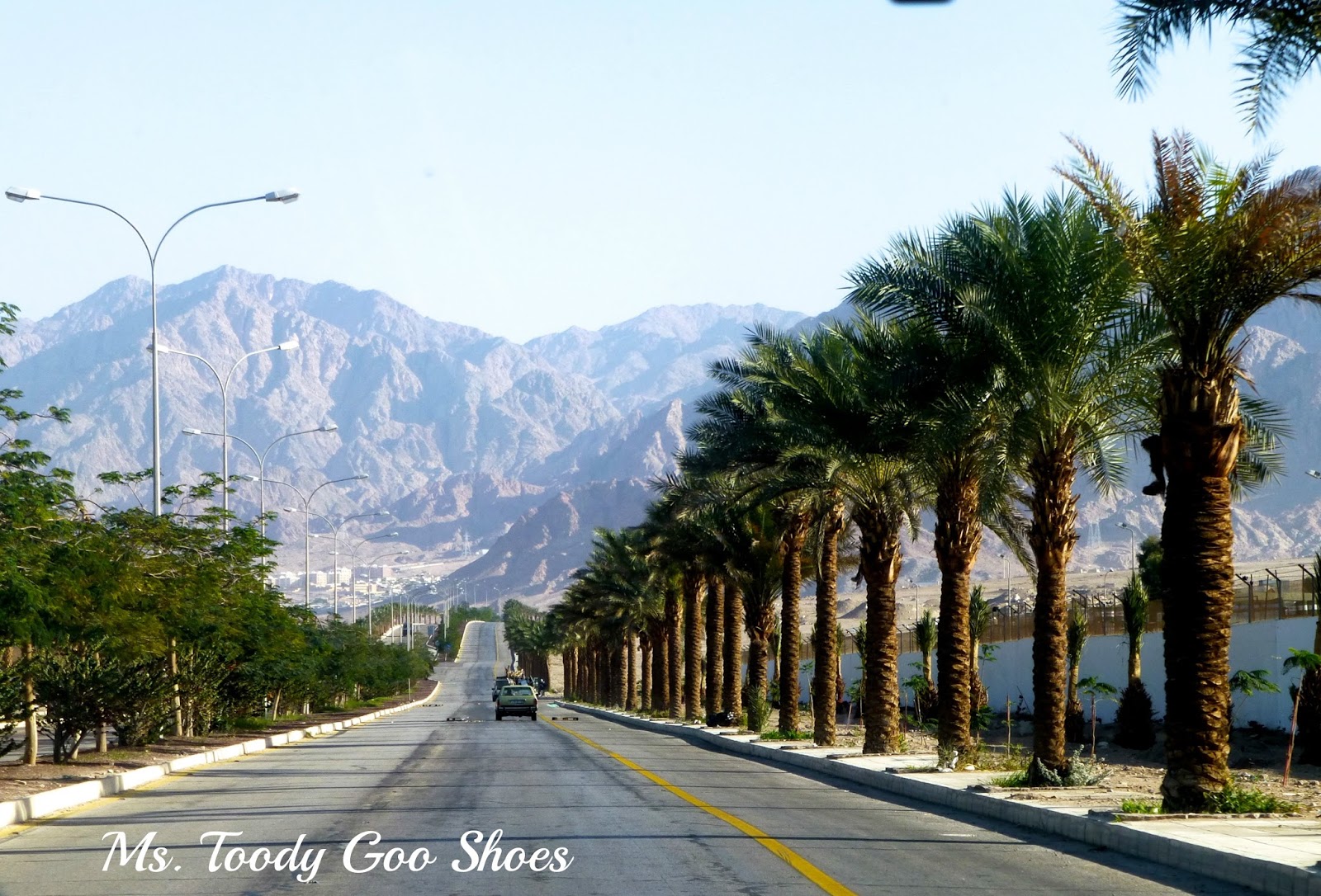 Driving through Jordan to Petra --- Ms. Toody Goo Shoes