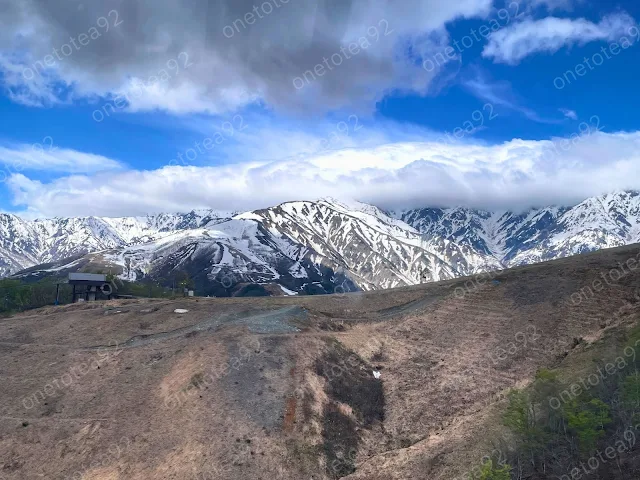 รีวิว วิธีไป ฮาคุบะ Hakuba Iwatake Mountain Resort เจแปนเอลป์