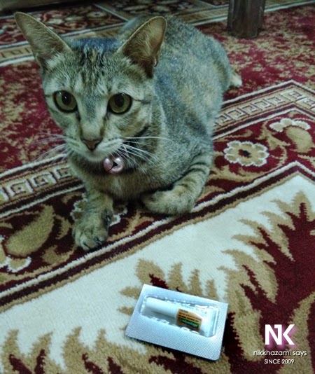 Ubat Kutu Kucing Jenis Tiub - NIKKHAZAMI.COM