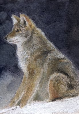 coyote painting aceo