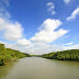 Discover Vietnam: Can Gio Mangrove Forest - top venue for nature lovers