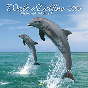 Wale und Delfine 2018: Broschürenkalender mit Ferienterminen. Tierkalender von Fischen. 30 x 30 cm
