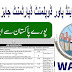 WAPDA Jobs 2024 (آل پاکستان اہل)