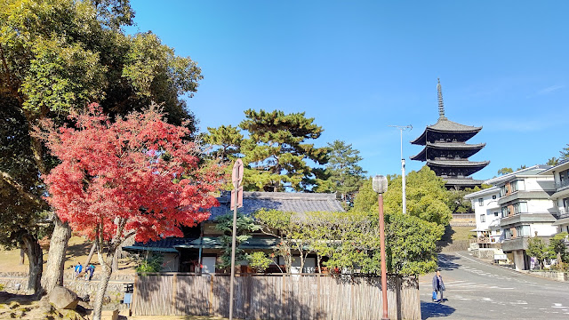 奈良公園 紅葉 五重塔