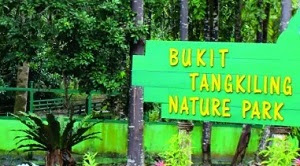 Tempat wisata baru di Bukit Tangkiling terdiri dari 2 objek wisata yaitu Taman Wisata Alam Bukit Tangkiling dan Bukit Banama yang memiliki legenda