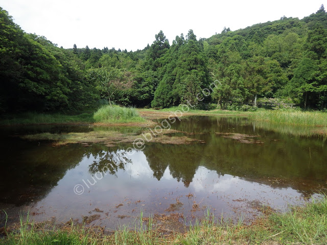 Yangmingshan Qixingshan Trail