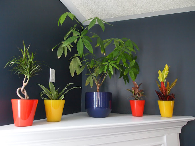 #2 Indoor Plant Decoration Ideas