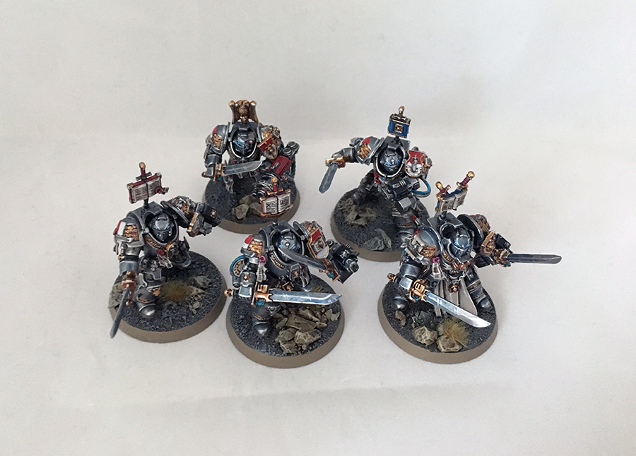 grey knights paladin