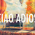 Lirik Lagu Anne Marie - Ciao Adios Terjemahan dan Artinya