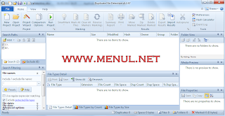 Duplicate File Detective 4.2.47 Final Full Version