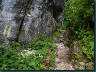 DSCN5376