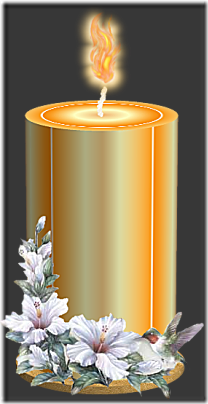cosasdivertidasdenavidad.blogspot.com tube  (9)