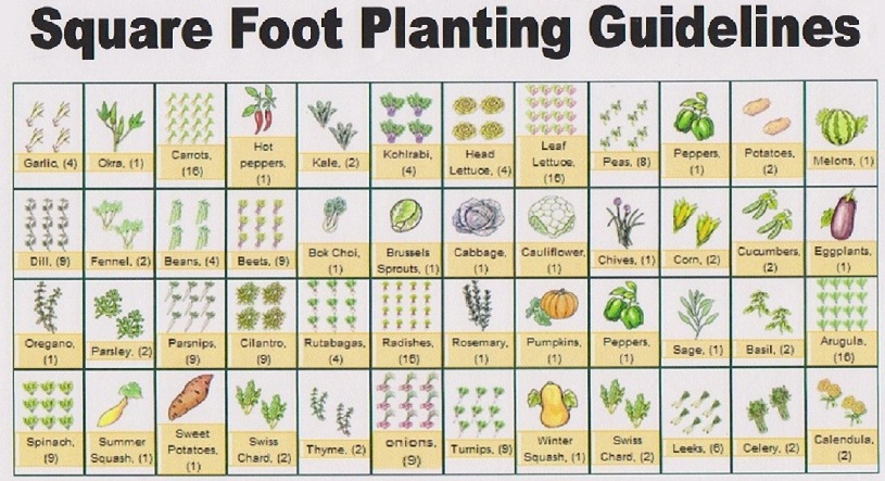 To get a copy of this guide to vegetables and how many to plant in ...