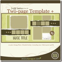 Template11Preview