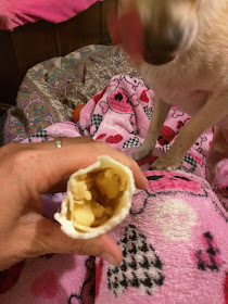 Inside view of a Digest-eeze rawhide, showing small pieces of hide stuffed in tube.