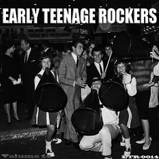 Afbeeldingsresultaat voor Early Teenage Rockers Vol. 14 (2014)