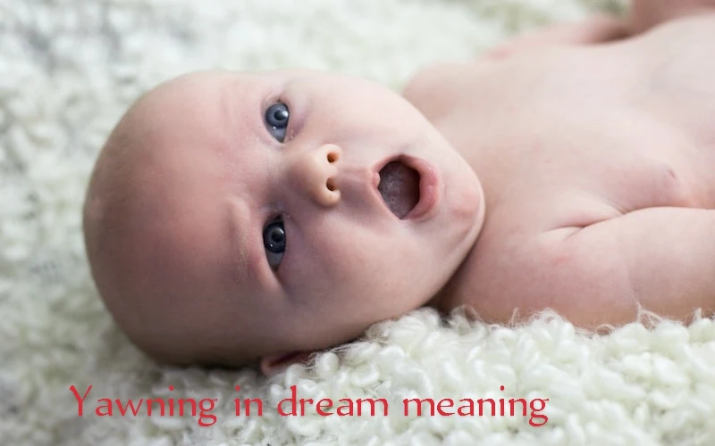 Yawning in dream meaning | Yapping in dream meaning |
