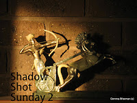 http://shadowshotsunday2.blogspot.com/