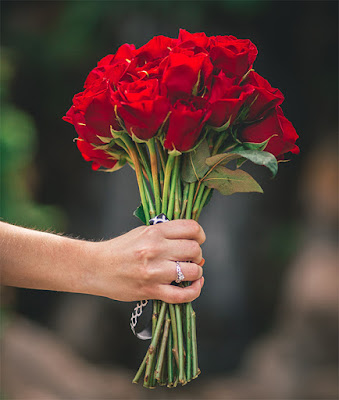 red roses in Saigon