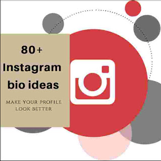 80+ Instagram bio ideas