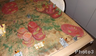 DSCF4924