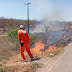 Fogo em vegetação é registrado pela Brigada Jaguatirica na zona rural de Jaguarari