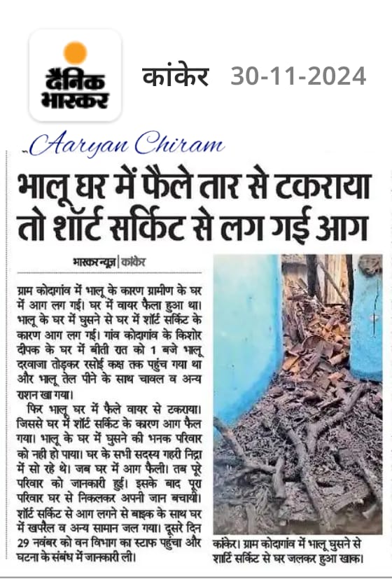 भालू के तार से टकराने से हुआ शार्ट सर्किट // Short circuit caused by bear hitting the wire