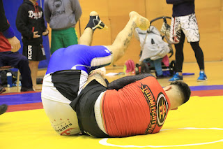 Abierto de Luchas Olímpicas, Sambo y Grappling