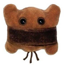 http://www.giantmicrobes.com/us/products/scum.html