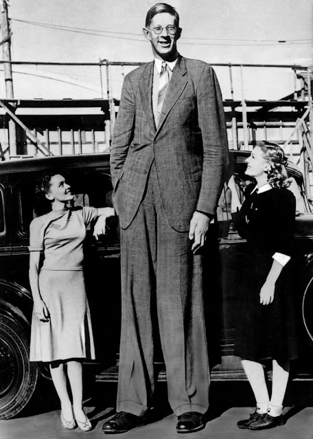 Robert Wadlow fue el hombre más alto registrado en la historia. Medía 2,5 metros y medio.