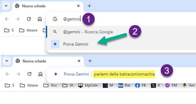 provare gemini dal browser