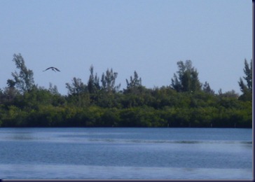 P1000148