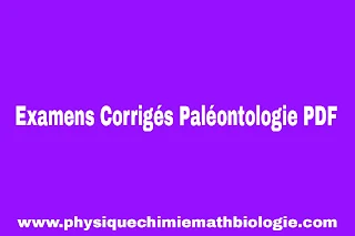 Examens Corrigés Paléontologie PDF