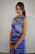 Khenisha Chandran at Jaganatakam press meet-thumbnail-11