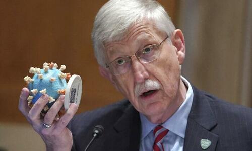 NIH Director Dr. Francis Collins holds up a model of the coronavirus as he testifies before a Senate Appropriations Subcommittee looking into the budget estimates for the National Institute of Health (NIH) and the state of medical research, on Capitol Hill on May 26, 2021.
