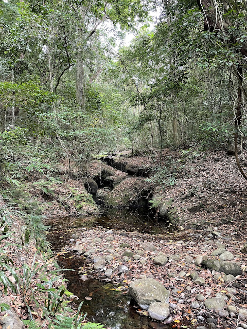 Mt. Pico de Loro Hike, April 2024