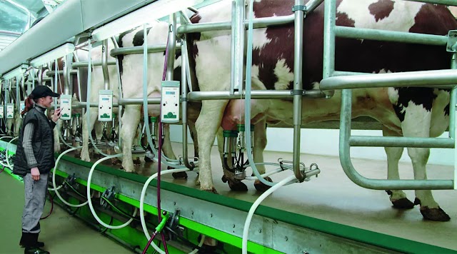 La industria de la leche cruda - Problemática mundial