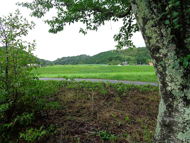 米子市淀江町福岡の田園地帯