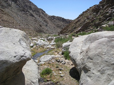 Anza Borrego