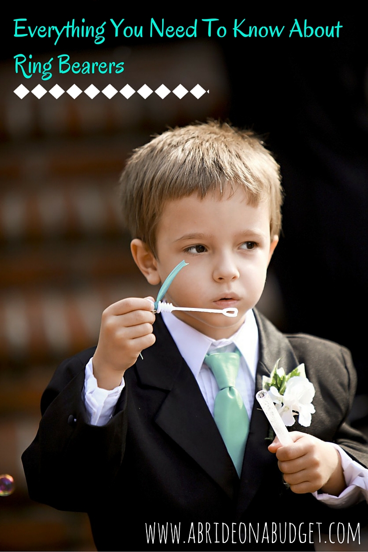 Barn Owl Ring Bearer for Weddings and Engagements England