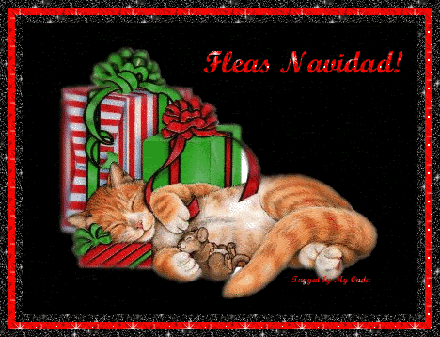 FELIZ NAVIDAD COSASPARANAVIDAD (13)