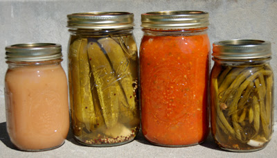 Photo of my canning harvest - tomato sauce, dill pickles, applesauce and dillybeans