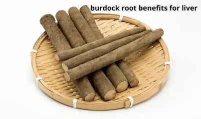 burdock root benefits for liver