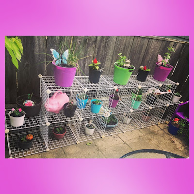 a container garden on a patio in an urban container gardening setup using vertical space to grow more