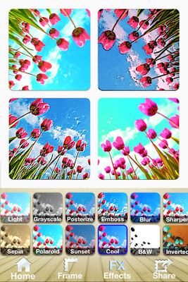 FrameUrLife - The Best Picture Frames & Photo Frames picture collage Free