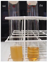 microbial bioassay of antibiotics