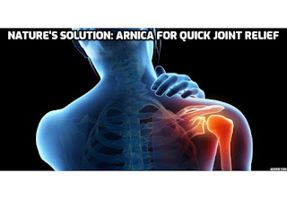 Arnica for Quick Joint Relief - In the realm of natural remedies, Arnica stands out as a potent solution for quick and effective joint pain relief. Derived from the Arnica montana plant, this herbal remedy has been revered for its therapeutic properties.   #ArnicaForJointRelief, #ArnicaRelief, #NaturalJointCare, #HealingHerbs, #PainFreeLiving, #HerbalRemedies, #JointPainRelief, #ArnicaBenefits, #HolisticHealth, #NaturalHealing, #JointSupport, #HerbalMedicine, #ArnicaMagic, #HealthyJoints, #PlantPower, #NatureKnowsBest, #JointHealth, #ArnicaOil, #HerbalSolutions, #PainRelief, #ArnicaTherapy,