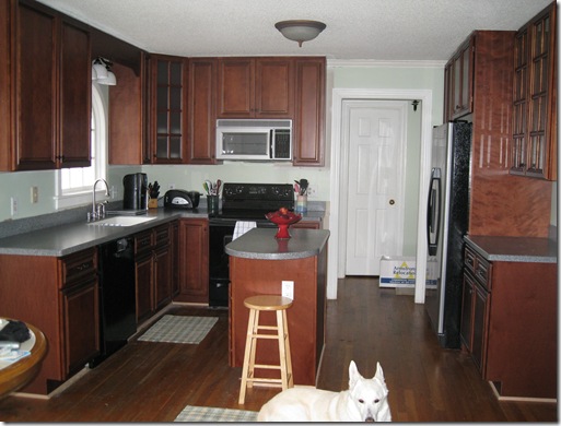 Kitchen- center view with dog mascot