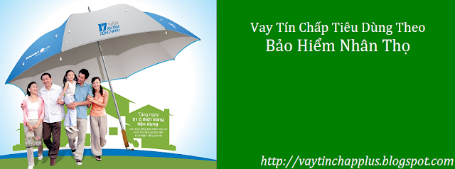 Vay Tín Chấp Tiêu Dùng Trả Góp Theo Bảo Hiểm Nhân Thọ 2