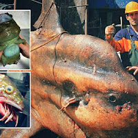 Koleksi Ikan Pelik Dengan Wajah Mengerikan Seakan 'Makhluk Asing' Ditangkap Di Laut Barents